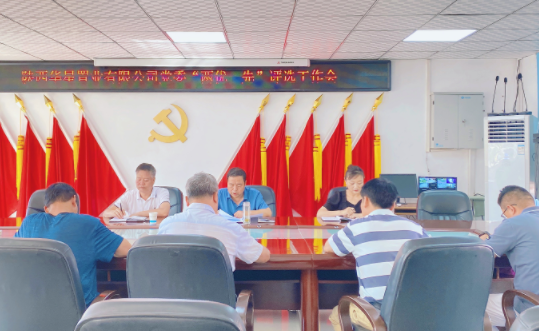 华星置业：组织召开2022年“两优一先”评选工作会