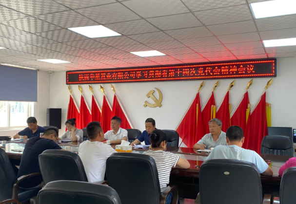 华星置业：组织召开学习贯彻省第十四次党代会精神会议